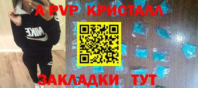 шишки Будённовск