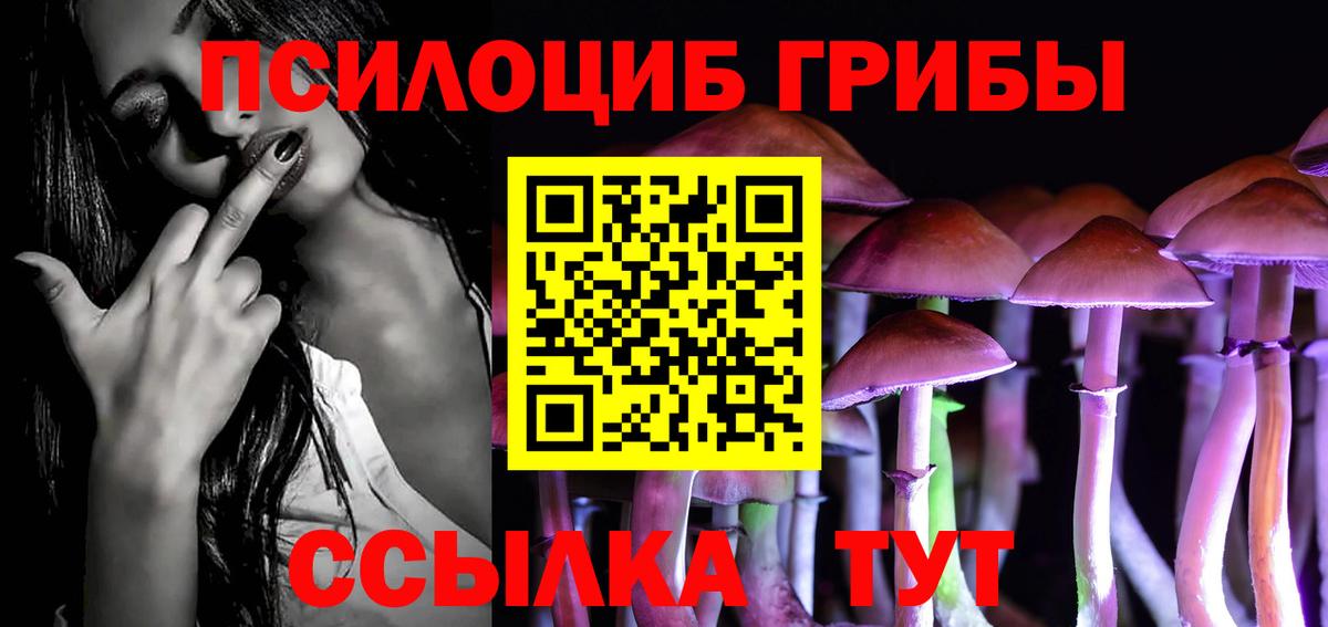 Псилоцибиновые грибы MAGIC MUSHROOMS  Вход с VPN  Куйбышев 